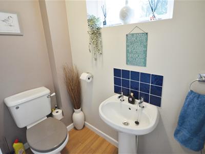 Picture 11